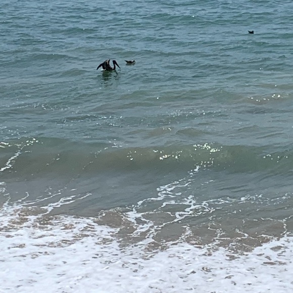 Meet your Posher, Josh - Picture 3 of 8